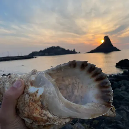 Etesia Vacation Ferienhaus *