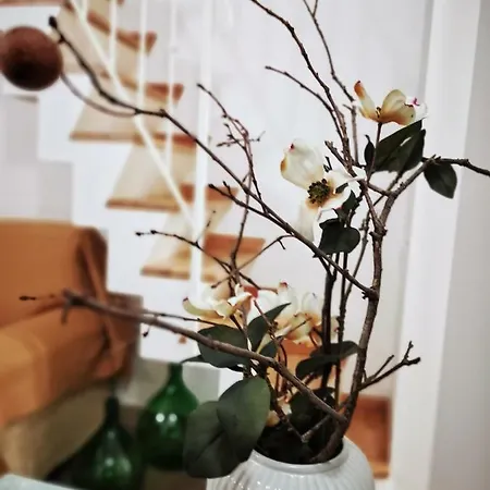 Ferienhaus Etesia Vacation Aci Trezza